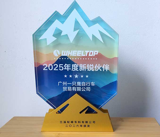 Aoeagle Wins WHEELTOP 2025 Emerging Partner of the Year Award